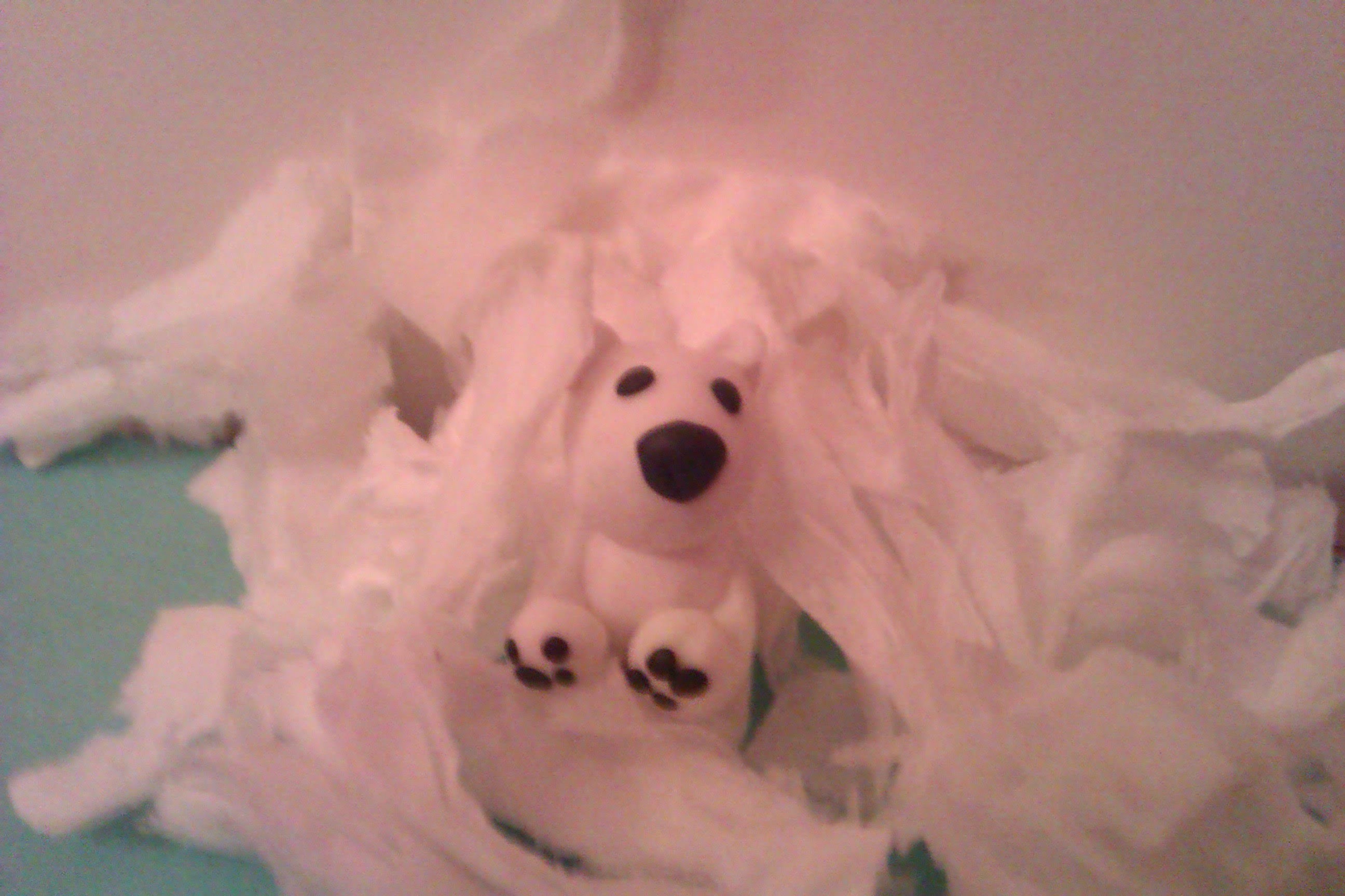Craft Art - jak zrobić niedźwiedzia polarnego  z modeliny :)