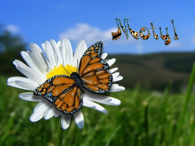 Lepiołki: Motyl , butterfly (polymer clay) TUTORiAL