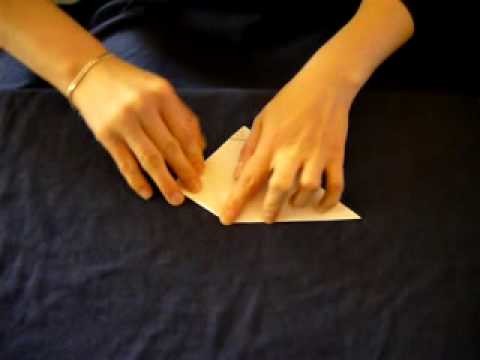 Pies origami