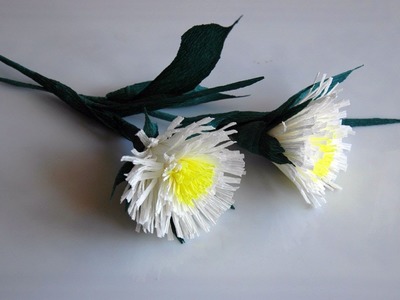 Kwiaty z bibuły  najprostsze  krok po kroku  Crepe paper flowers DIY