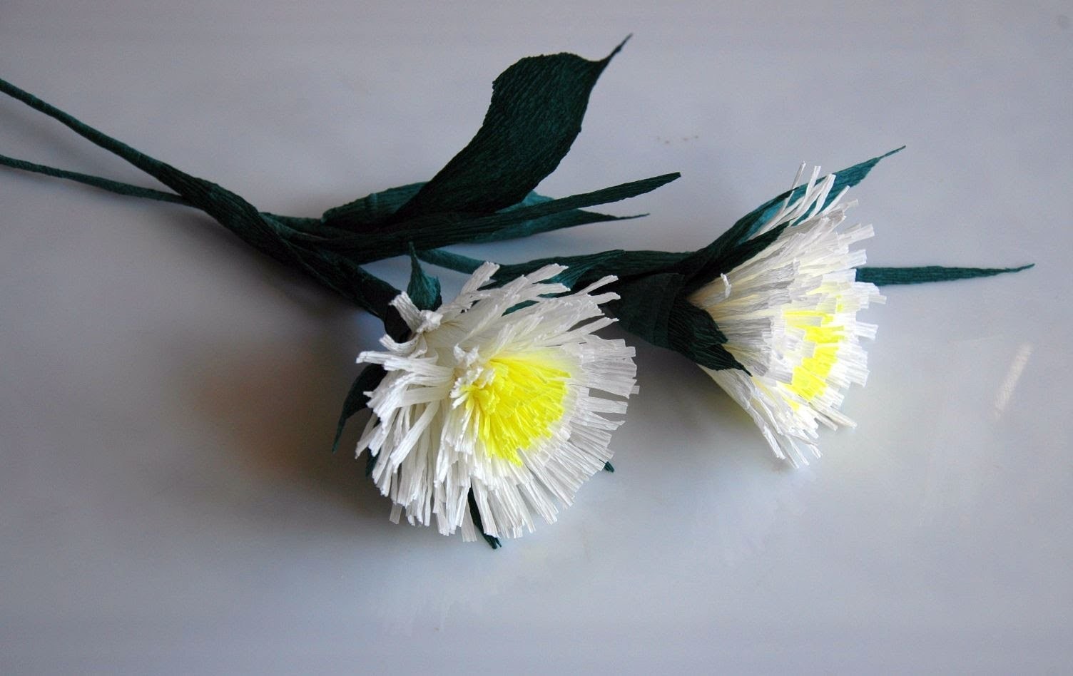Kwiaty z bibuły  najprostsze  krok po kroku  Crepe paper flowers DIY