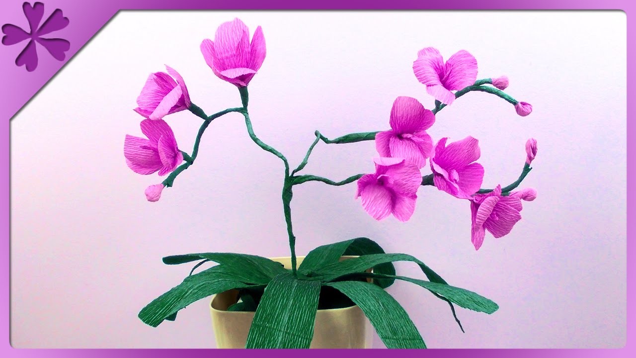 DIY Storczyk z bibuły. Tissue paper orchid (+ENG Subtitles) - Na szybko #113