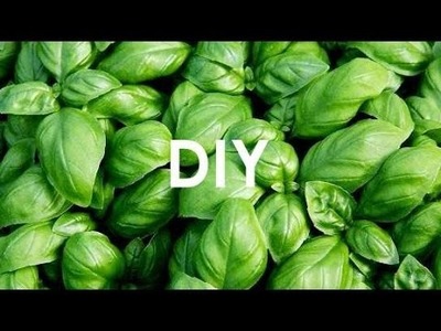 DIY - zioła na parapecie