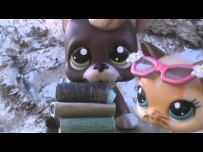 Littlest Pet Shop: ↯ Piąty Wymiar ↯ #1 (Poznajmy się!)
