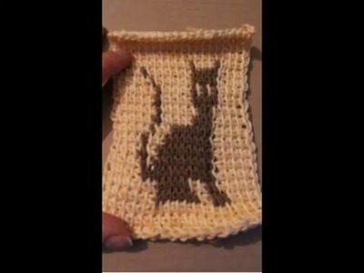 Tunisian crochet Cat Szydełko tunezyjskie kot