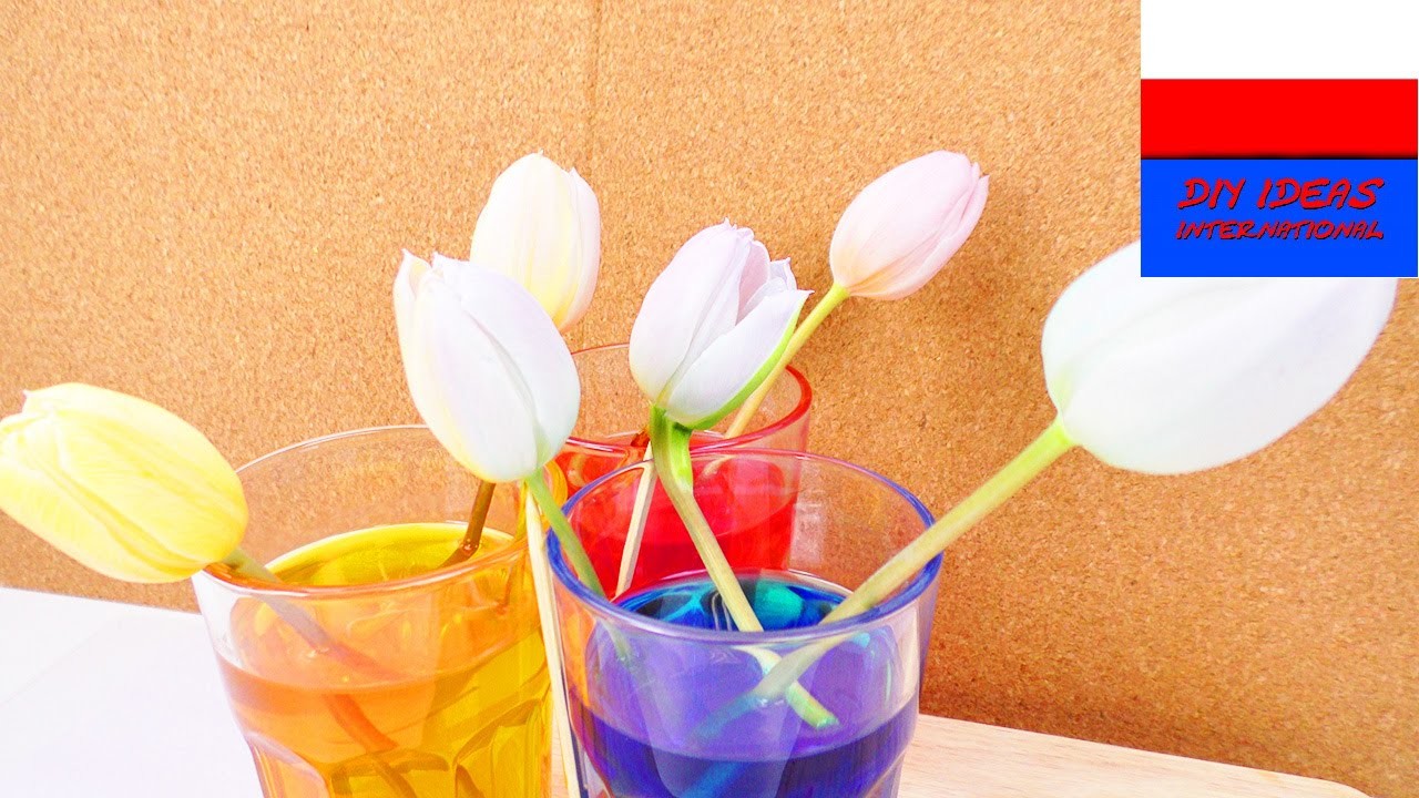 DIY International | farbowanie tulipanów barwnikami spożywczymi | żywe kwiaty farbujemy