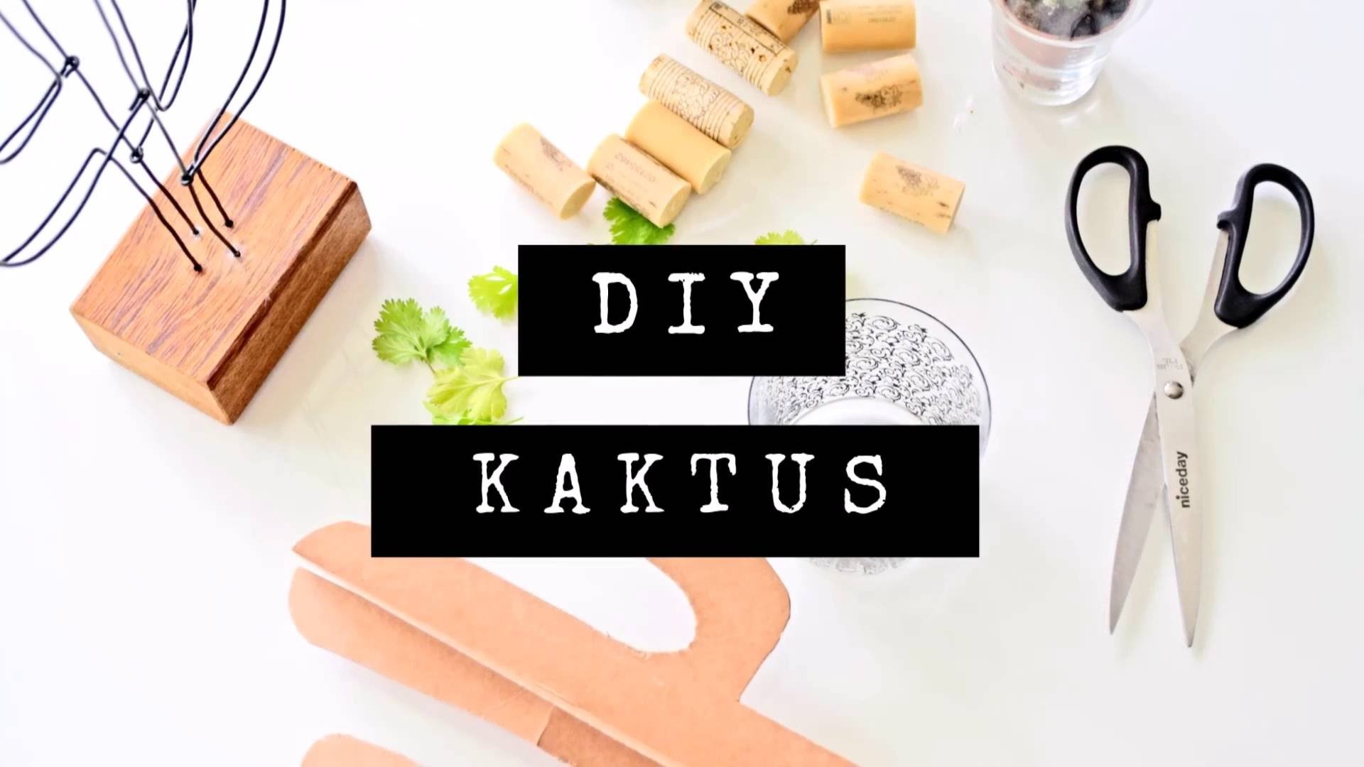 DIY - Jak zrobić kaktusa - dekoracje ? | Cleo-inspire