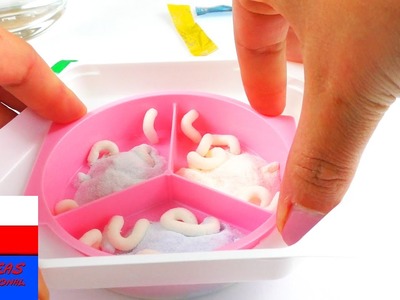 Kracie Popin Cookin | robaki | śmieszne DIY słodycze z Japonii