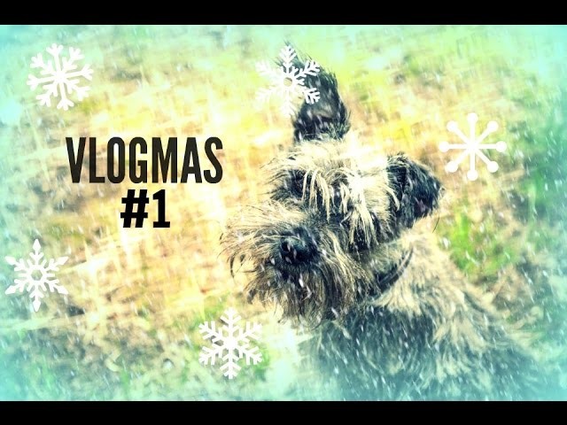 |VLOGMAS| #1 Dekorowanie , kalendarz i gang świeżaków !