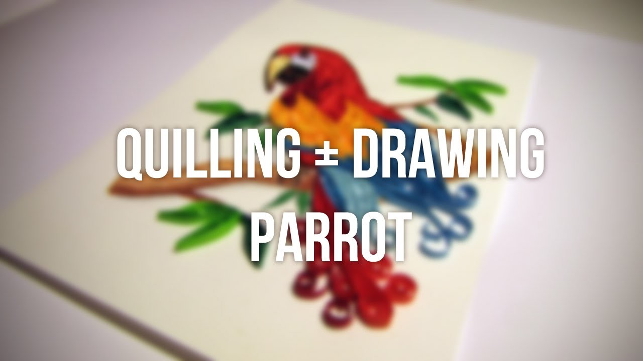 Quilling and drawing parrot time lapse. Papuga quilling plus rysowanie