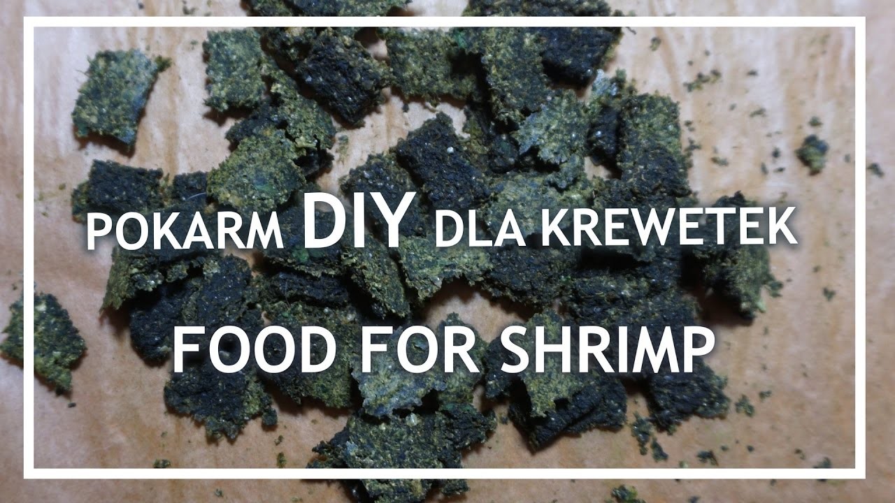 Pokarm dla krewetek | DIY | Food for shrimps