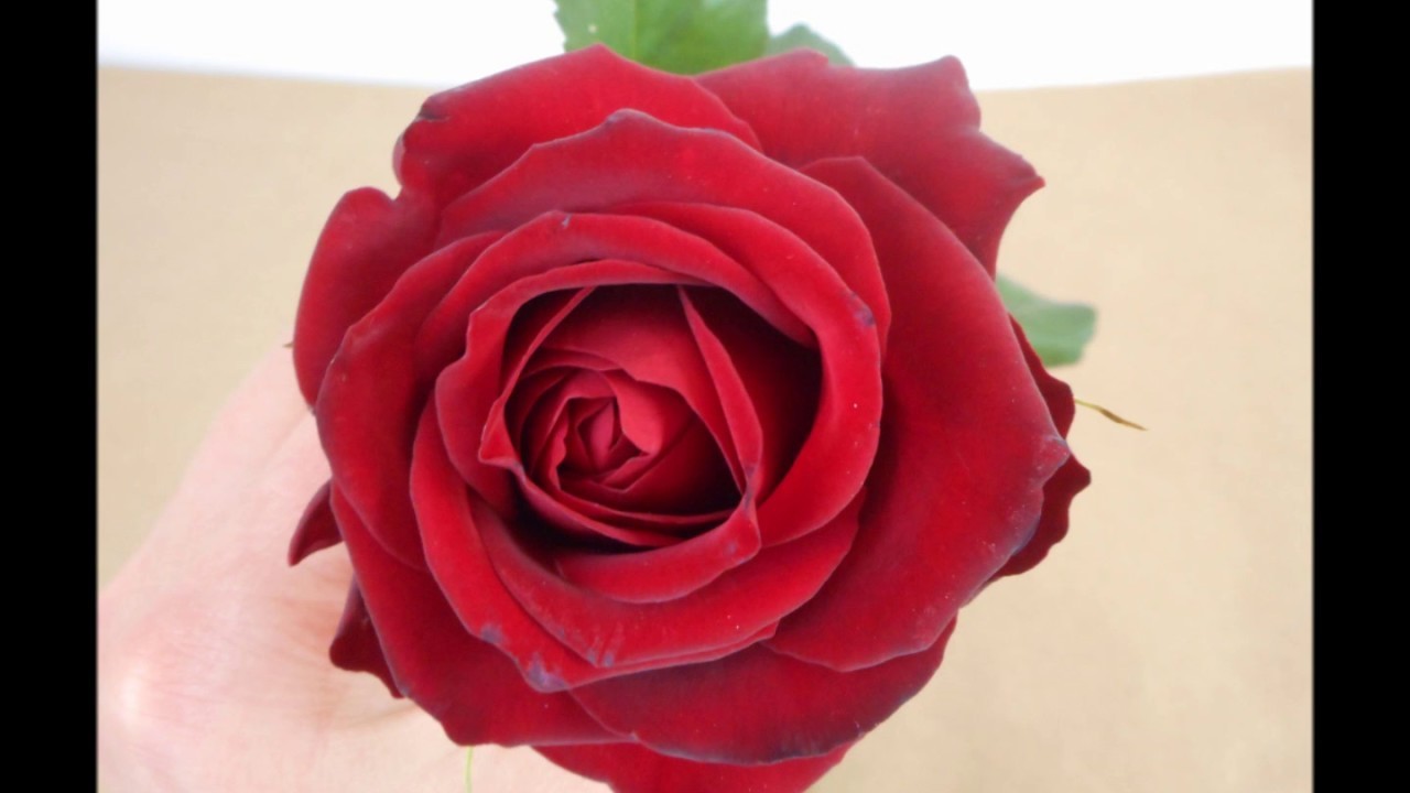 #33 Walentynki DIY - Trzy Proste Romantyczne Pomysły na Dzień Zakochanych