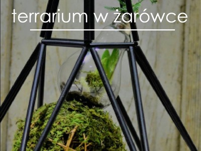 Zrób sobie swój mini ogródek w żarówce!  terrarium plants DIY