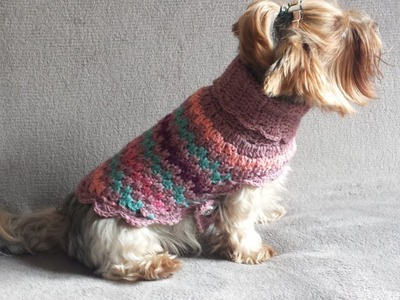 Sweter dla psa, ubranie dla psa na szydełku 1.3