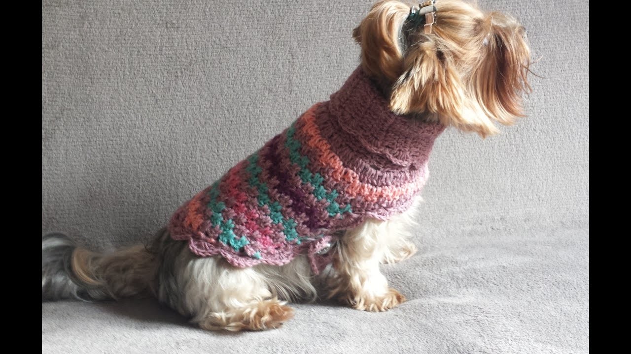 Sweter dla psa, ubranie dla psa na szydełku 1.3