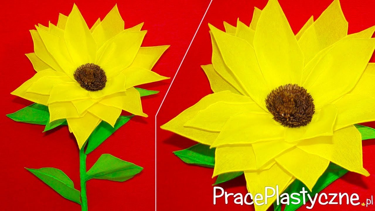 Jak zrobić słonecznik z bibuły? | Kwiatki z bibuły | Krok po kroku | Praca plastyczna