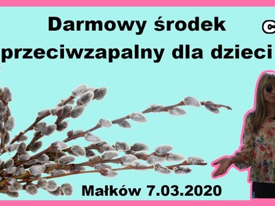 DARMOWY ŚRODEK PRZECIWZAPALNY DLA DZIECI, Wykład w Małkowie 07.03.2020