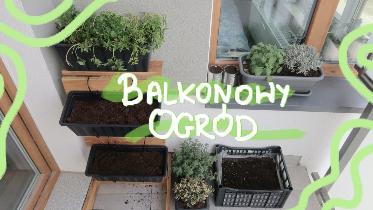 Ogród na balkonie | Jak zrobić warzywnik? | Vlog | Mój EKOdom
