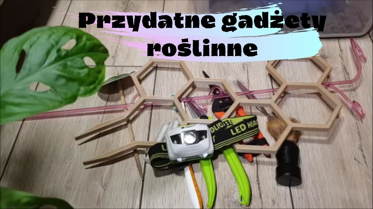 Przydatne gadżety roślinne