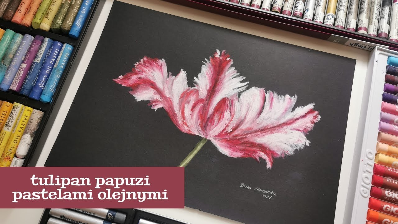 Tulipan papuzi pastelami olejnymi | Tulip oli pastel speed drawing