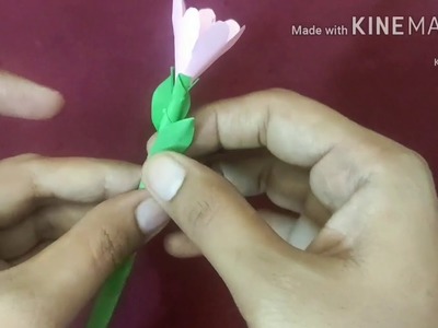 Paper Flower ????, DIY Paper Flower,