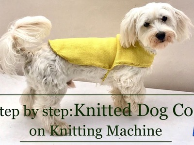 How to knit a coat for a dog on a knitting machine l Step by Step Instructions