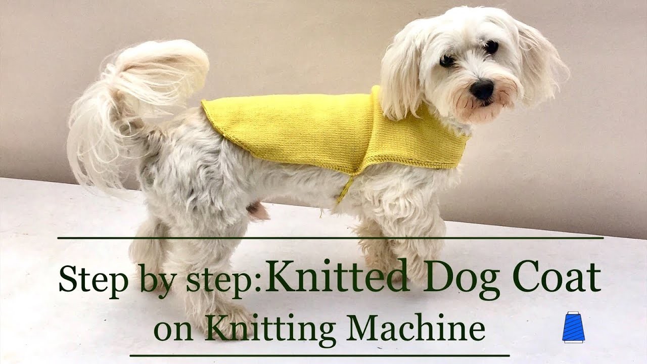 How to knit a coat for a dog on a knitting machine l Step by Step Instructions