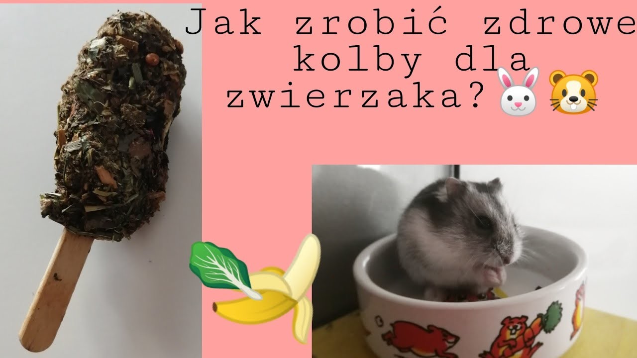 Zdrowe kolby dla gryzoni i królików???????? Zrób to sam❤️