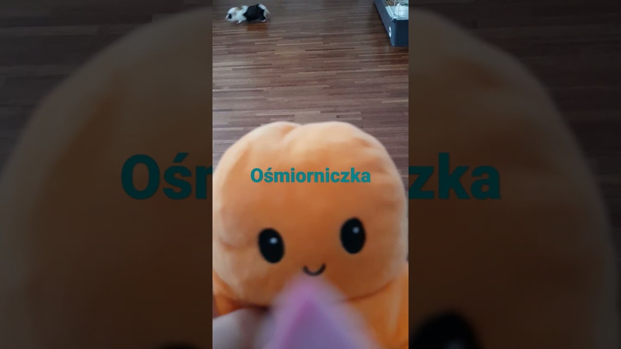 Ośmiorniczka