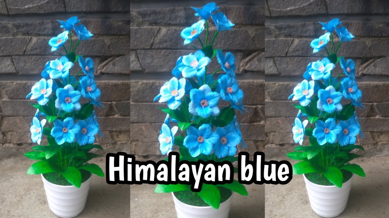 DIY bunga himalayan blue dari plastik kresek