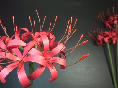 （ペーパーフラワー）9月の飾り　彼岸花の作り方【DIY】(Paper flower)cluster amaryllis