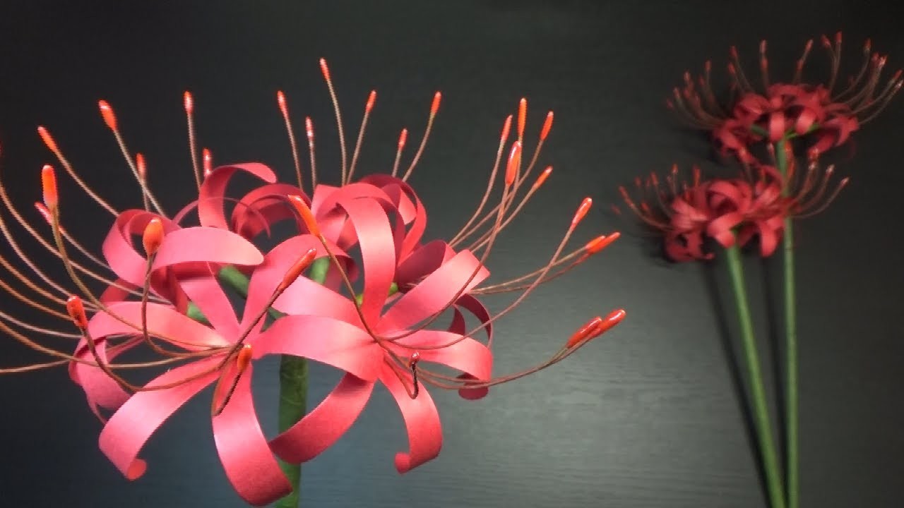 （ペーパーフラワー）9月の飾り　彼岸花の作り方【DIY】(Paper flower)cluster amaryllis