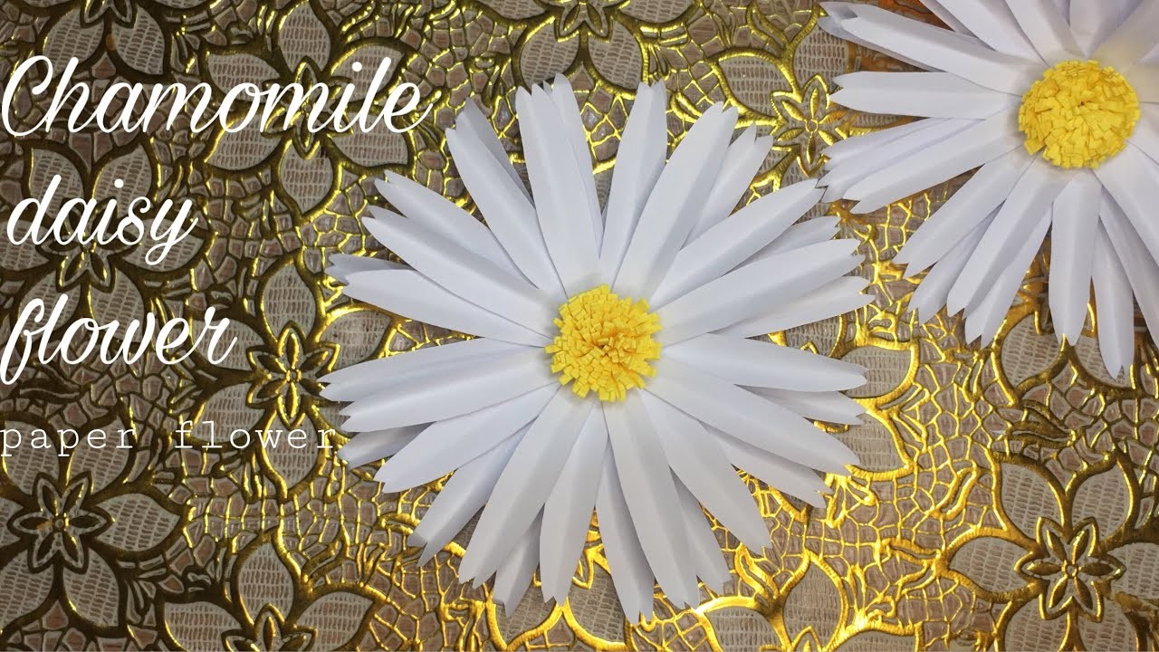 Chamomile daisy flower | paper flower | diy by angegelic