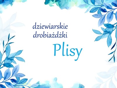 Plisy - dziewiarskie drobiażdżkI