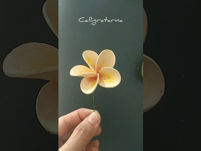 The Quilling Plumeria Flower 3D