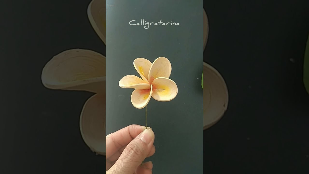 The Quilling Plumeria Flower 3D