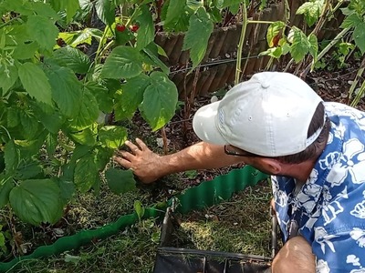 Co zrobić ze skoszoną trawą?