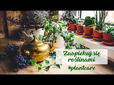 #selfcare * Zaopiekuj się roślinami * Pielęgnacja roślin domowych #plantcare ❤