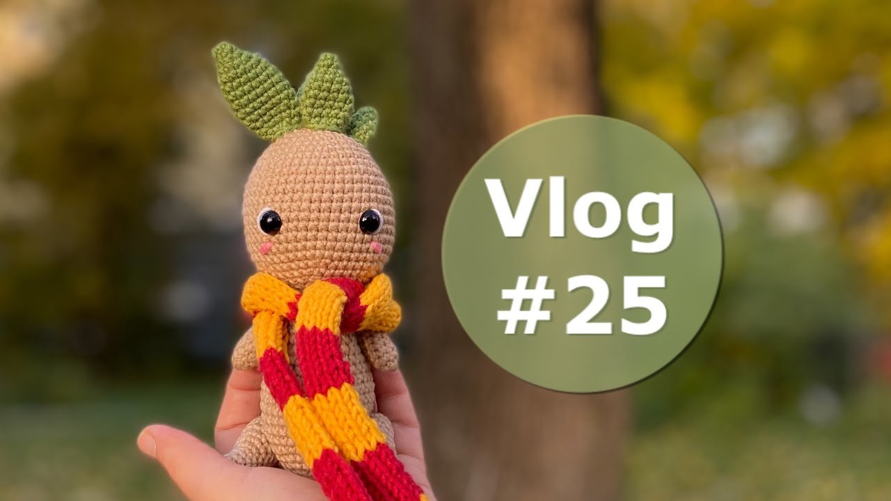 Vlog # 25