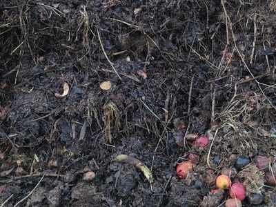 Jesienny kompost gotowy, czas przerzucić pryzmę i dodać materii.