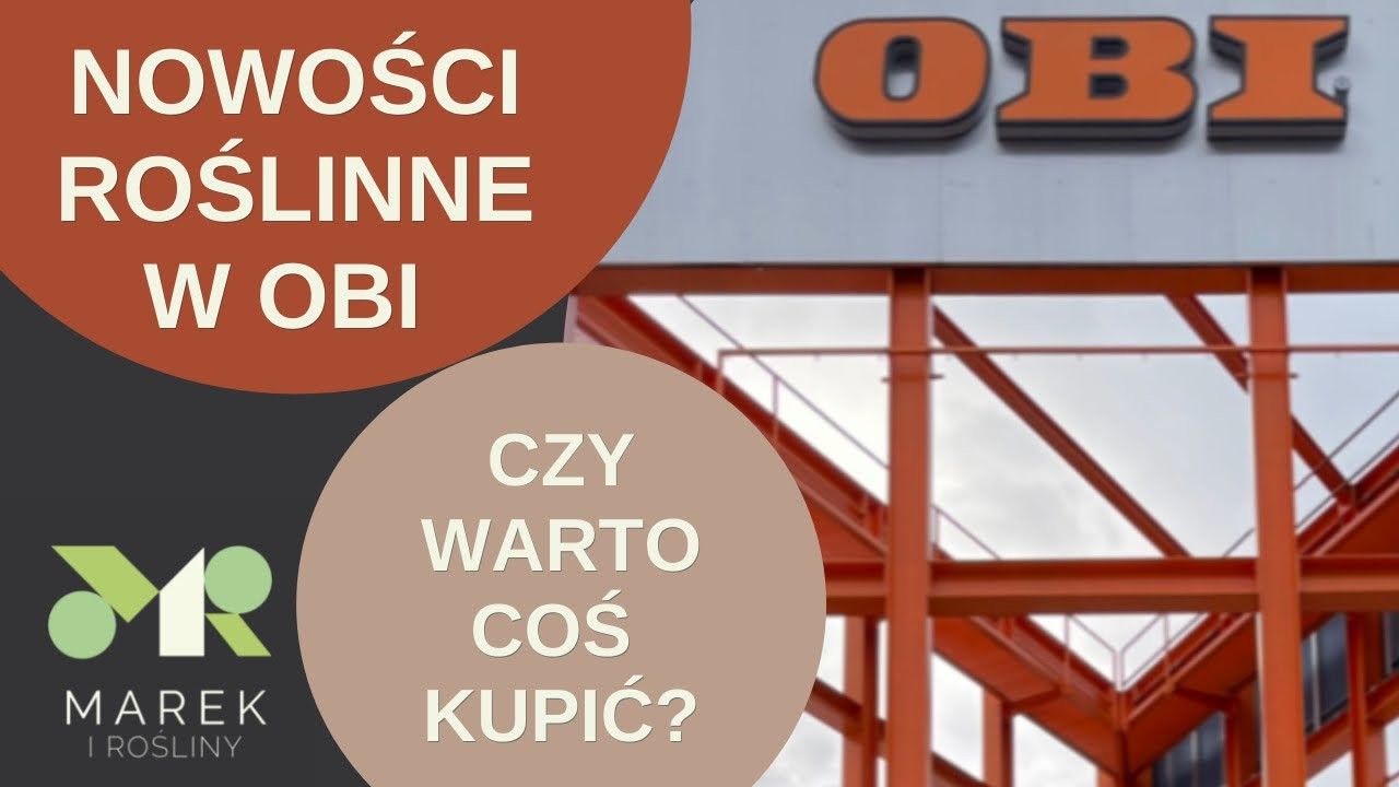 Nowości roślinne w OBI- czy warto coś kupić?