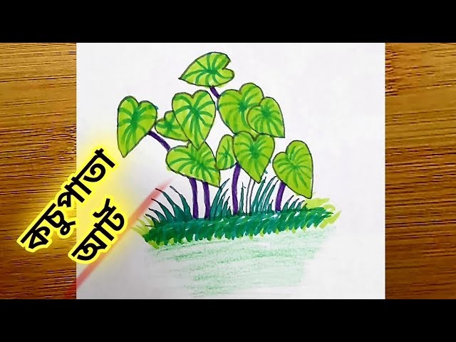 ধাপে ধাপে কচু পাতা আঁকা | Kochu Pata Aka | Kochu Pata Drawing | Drawing For Kids | Easy Drawing