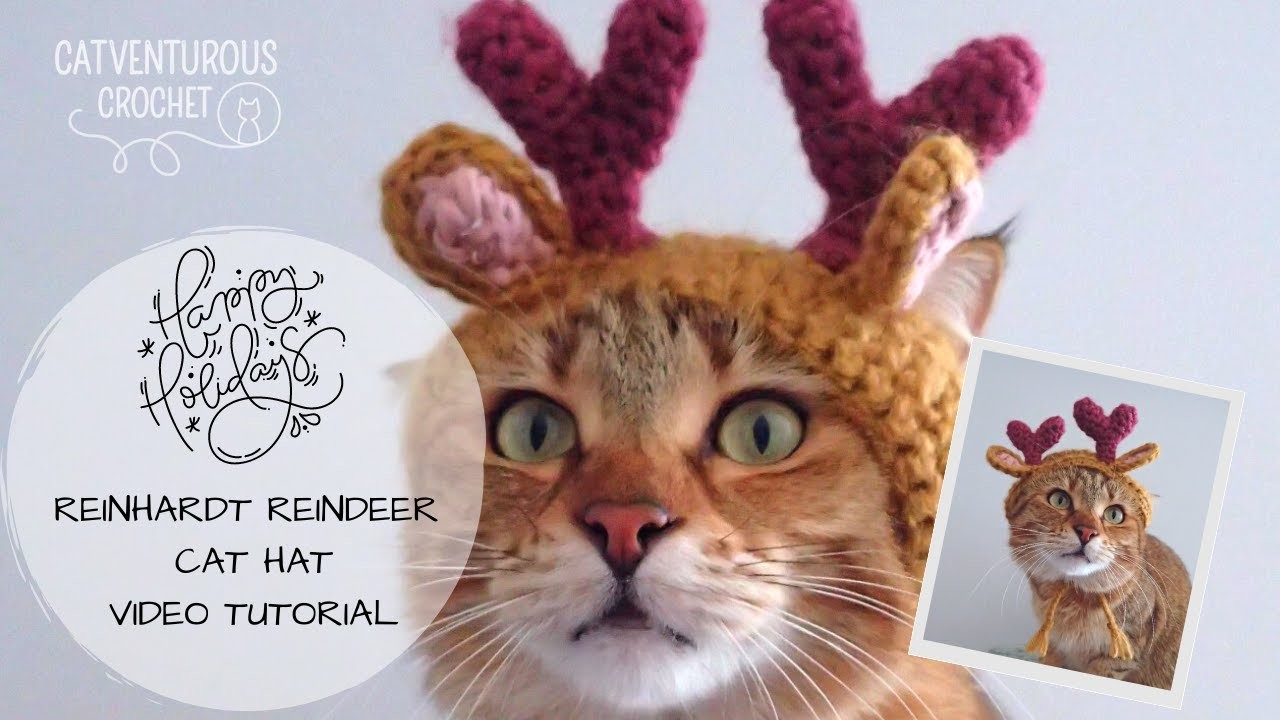 Reinhardt Reindeer Cat Hat - Catventurous Crochet