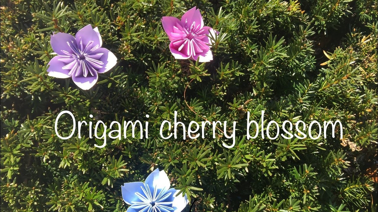 Origami cherry blossom | spring