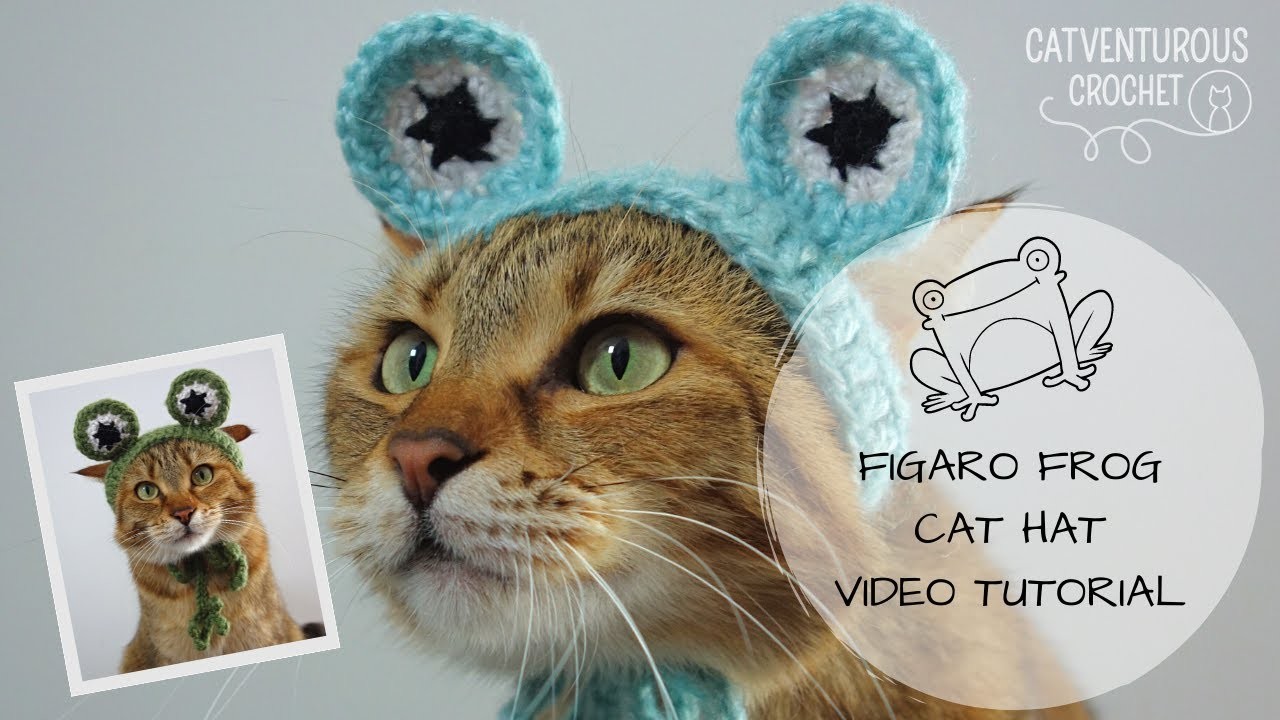 Figaro Frog Cat Hat - Catventurous Crochet