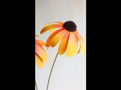 Paper Flower Daisy | Coneflower