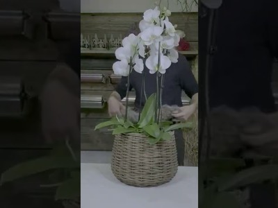 Deko Idee Orchidee im Korb