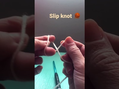 Slip Knot